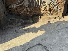 -自然谷恐龙园