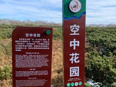 -凤凰山国家森林公园
