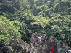 -石台牯牛降景区