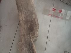 -赵州桥景区