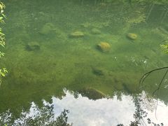 -石台牯牛降景区