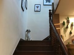 -多卡布奇宠物生活馆(上林世家店)