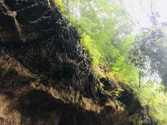 -川西竹海景区