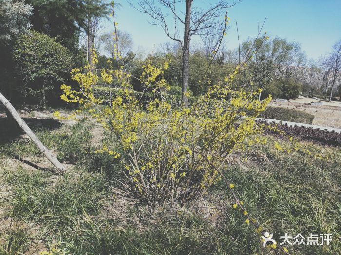 郑东新区湿地公园图片