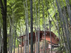 -莫干山风景区