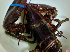 波士顿龙虾750g-盒马鲜生(189购物中心店)