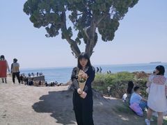 小麦岛-澳门陈光记烧味饭店(万象城店)