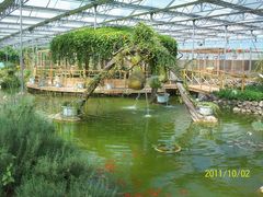 北京观光南瓜园&nbsp;(44)-观光南瓜园