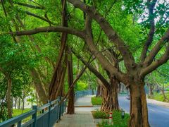 -南国桃园旅游度假区