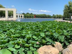 -长春世界雕塑园冰雪艺术天地
