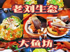 -老刘生态大鱼坊铁锅炖鱼(赛马场店)