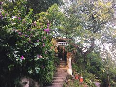 -懒鱼时光馆(沙坪坝店)