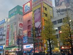 -秋叶原电器街