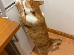 -佑安动物医院·全科·内窥镜中心(幸福巷店)