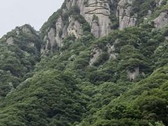 -陕西省红河谷森林公园