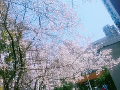 -玛格萝妮比萨屋(四平店)