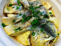 砂锅焗黄花鱼-1937青岛老味道·海肠捞饭·青岛菜(大鲍岛栈桥店)