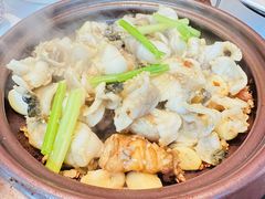 -谭厨中山传家菜.乳鸽.脆鲩鱼(华强北中航城店)