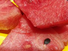 -龙记斑鱼火锅鲜切牛肉自助(红山路店)