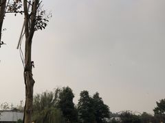 -马帮寨院坝火锅(龙港公园店)