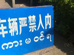景点-莫里热带雨林景区