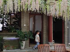-阿鹏故事云南野生菌火锅(人民路店)