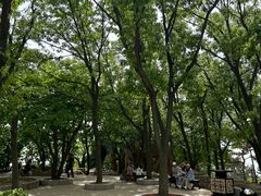 -燕窝岭