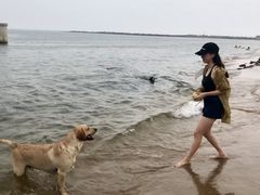 -南戴河旅游度假区