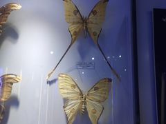 -吉林省自然博物馆
