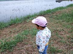 -天津东丽湖风景区