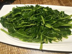 清炒豌豆尖-渝信川菜(长安店)