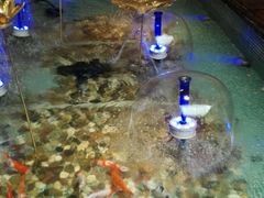 -水晶之星洗浴温泉汗蒸