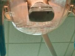 -中国人民解放军空军特色医学中心(空军总医院)