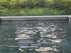 -苏州湾·王焰温泉
