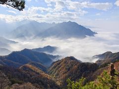 -西安祥峪森林公园