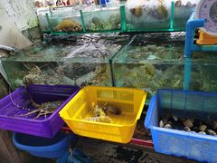 -班赞海鲜市场
