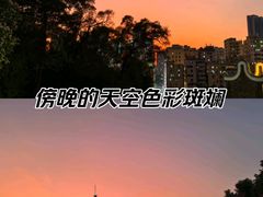 -清湖文化公园