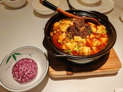 -陈麻婆豆腐(春熙店)