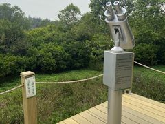 -华侨城湿地公园