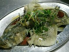 -八仔大富楼·河鲜(西江店)