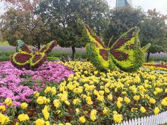 -沈阳植物园