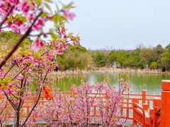 -艾溪湖湿地公园