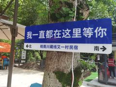 -水墨汀溪风景区