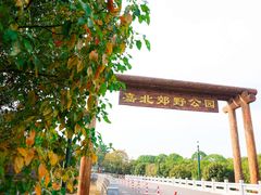 -嘉北郊野公园