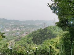 -南山植物园