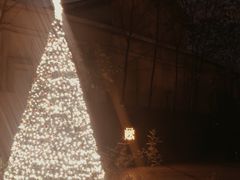 -酷cigar&whisky·bar(神仙树店)