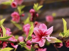 -乌山风景区