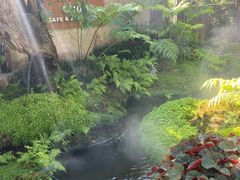 -Chom Cafe and Restaurant