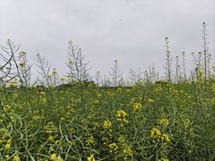 -长廊欢乐园