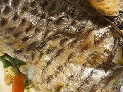 -多哥水傣味餐厅(司马巷店)